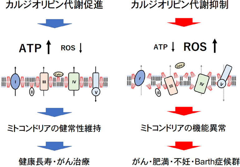 Dr. HIROFUMI ARAKAWA'S LABORATORY